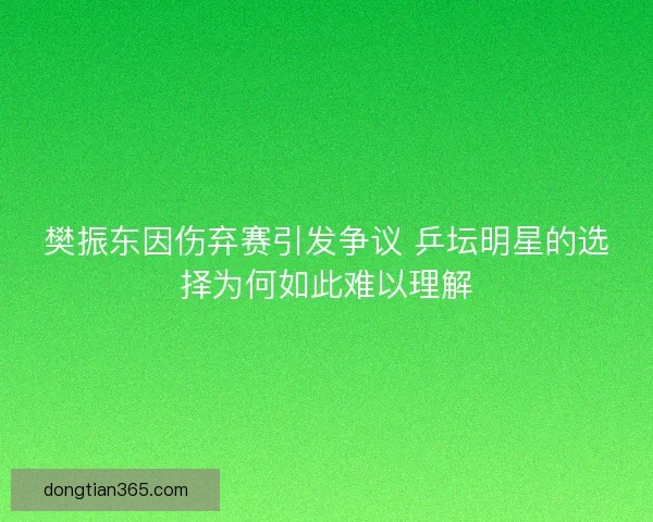 樊振东因伤弃赛引发争议 乒坛明星的选择为何如此难以理解